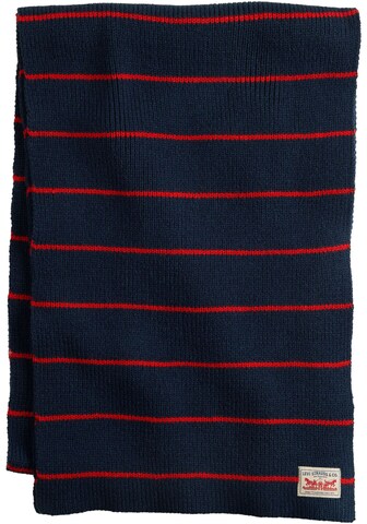 LEVI'S ® Scarf in Blue