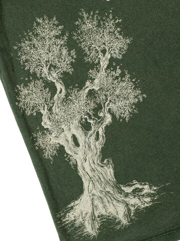 Life-Tree Shirt 'Organic Fairwear Olive Tree' in Green