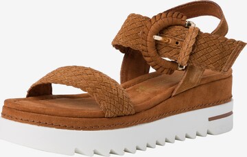 MARCO TOZZI Sandals in Brown: front