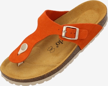 Palado Zehentrenner 'Palado Kos Suede Premium Leather' in Orange: Vorderseite