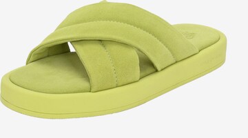 Apple of Eden Sandals in Green: front