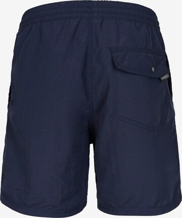 O'NEILL Sportbadehose in Blau