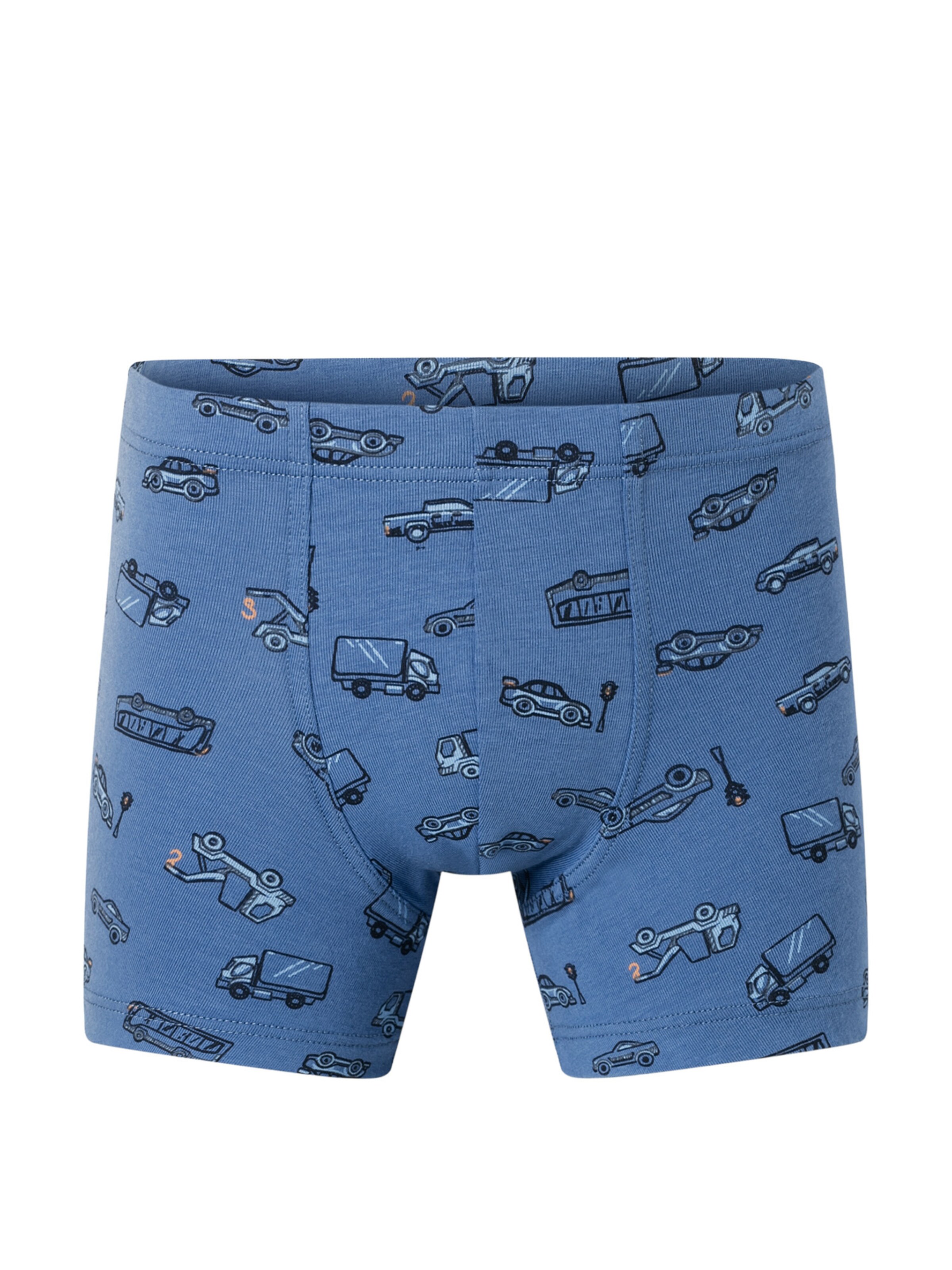 SCHIESSER Underpants '95/5' in Blue