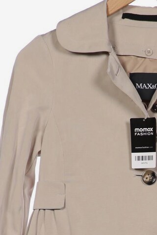 MAX&Co. Jacket & Coat in XS in Beige