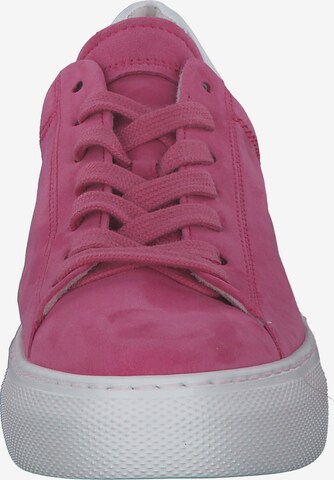 Sneaker bassa di GABOR in rosa