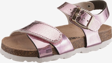 Kidsworld Sandals in Pink: front