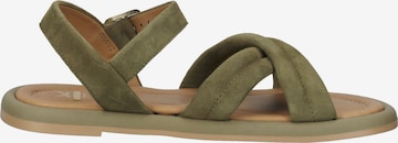 SANSIBAR Strap Sandals in Green