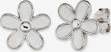 BRUNO BANANI Earrings in Silver: front