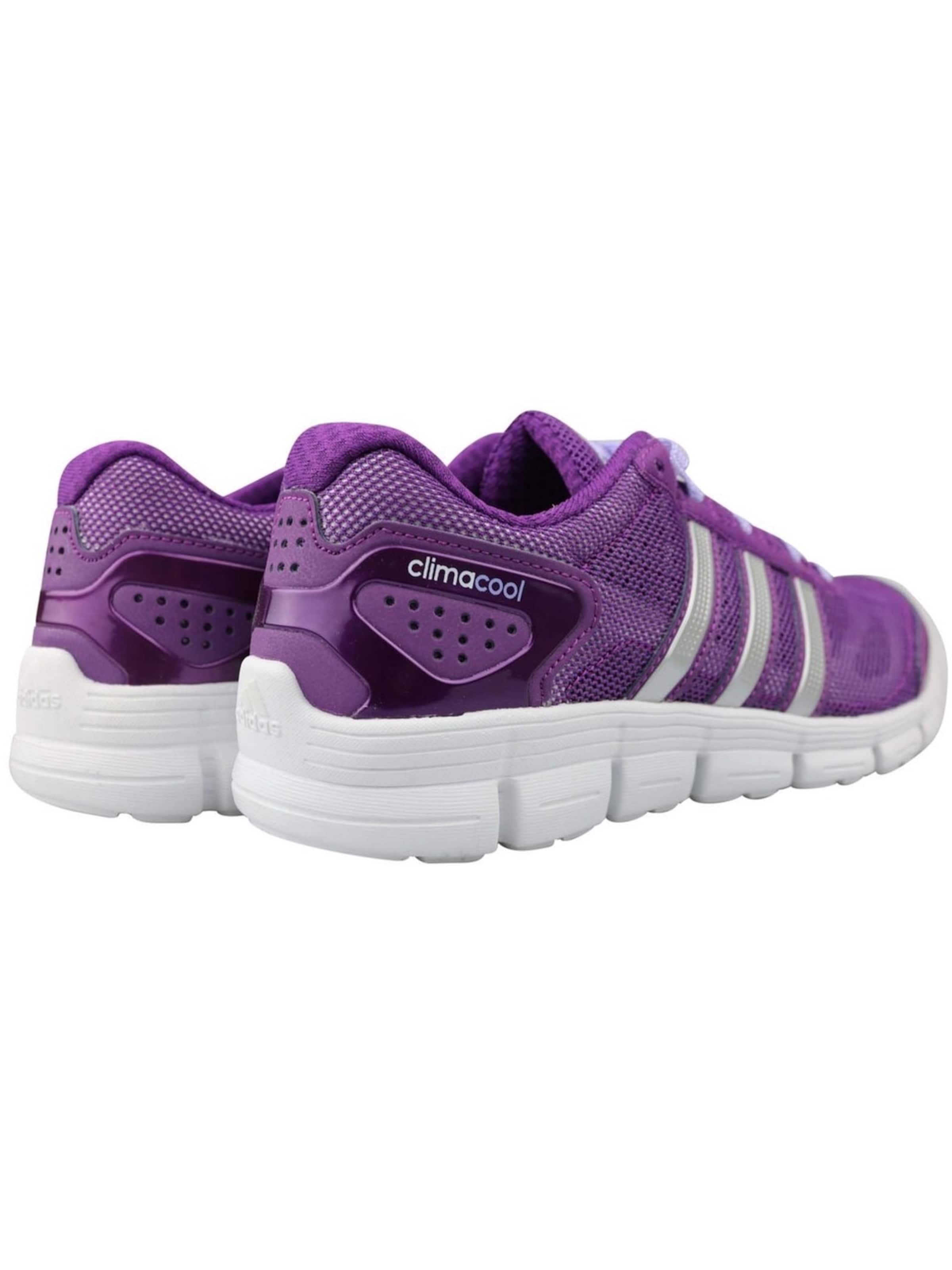 Adidas Sport Sportschuh 'CC Fresh Climacool'‌‌‌‌‌‌‌‌‌ in Lila