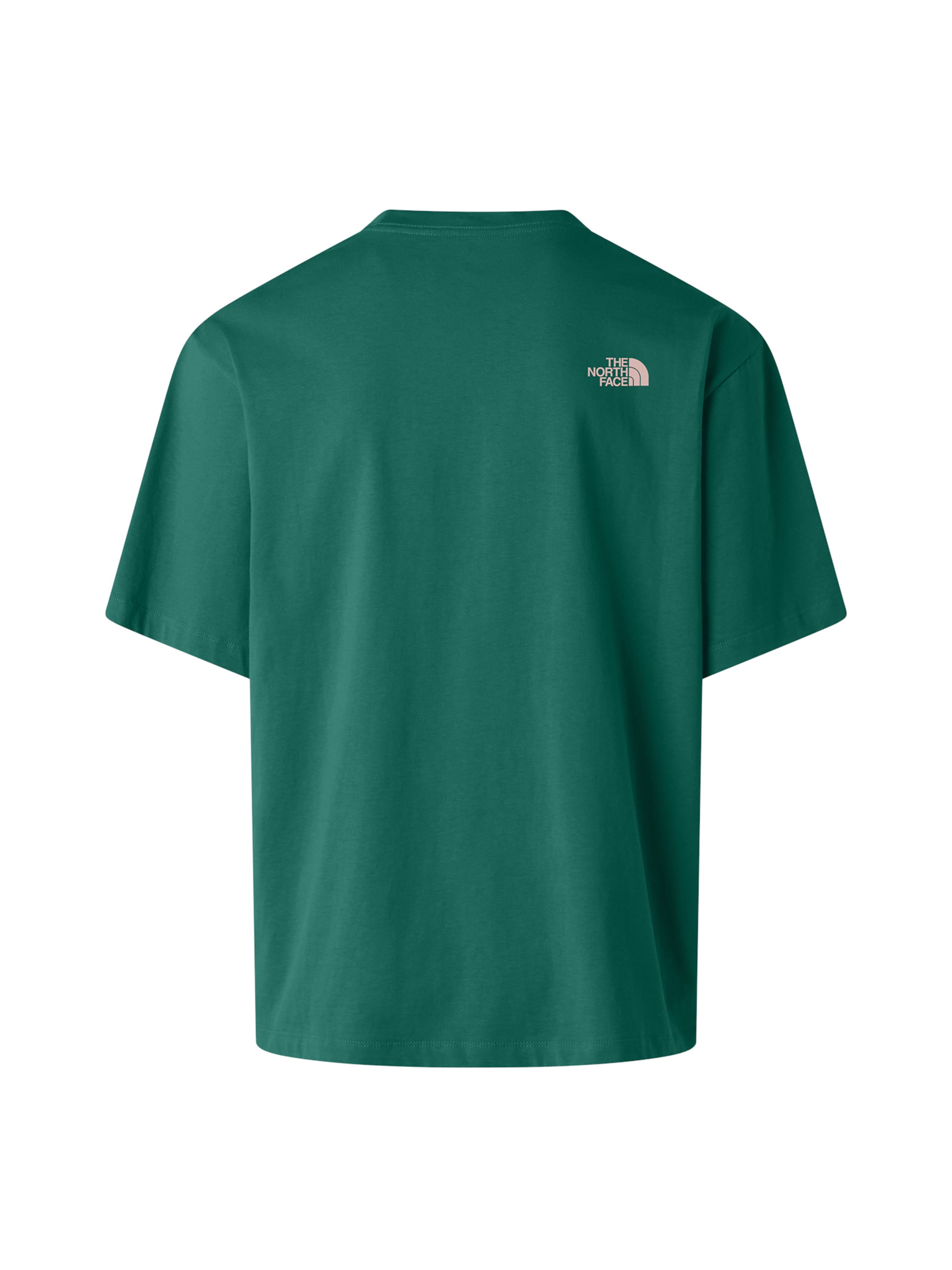 THE NORTH FACE Bluser & t-shirts 'Brand Proud' i grøn