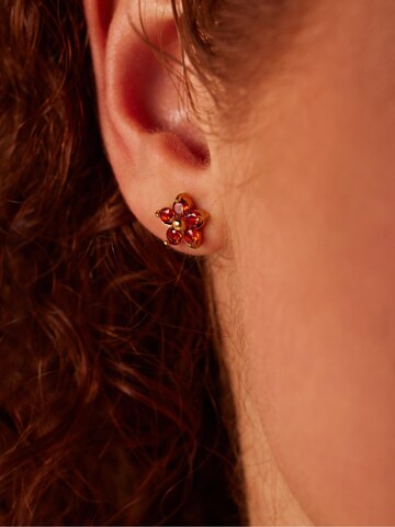 Boucles d'oreilles 'Münze' Lucardi en or : devant