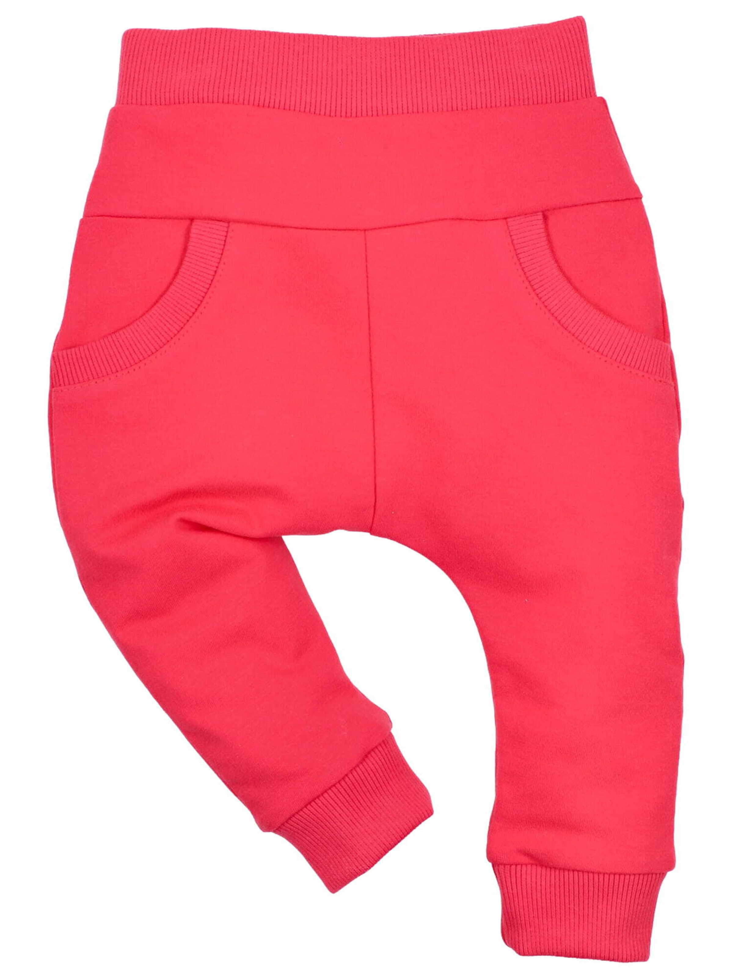 NINI Pants in Cranberry, Item view