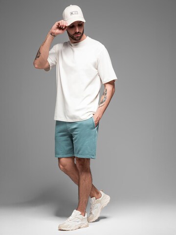 Ombre Loose fit Trousers in Green