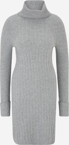 Banana Republic Tall Pullover 'SECOND CHANCE' i grå: forside