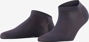 FALKE Füßlinge 'Fine Softness' in Blau: Vorderseite