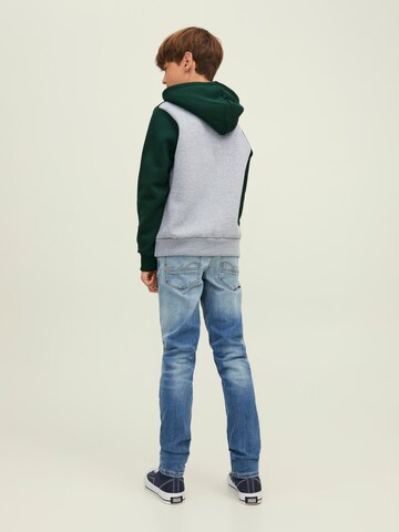 Jack & Jones Junior Regular fit Sweatshirt in Gemengde kleuren