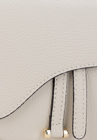 NAEMI Crossbody Bag in Beige