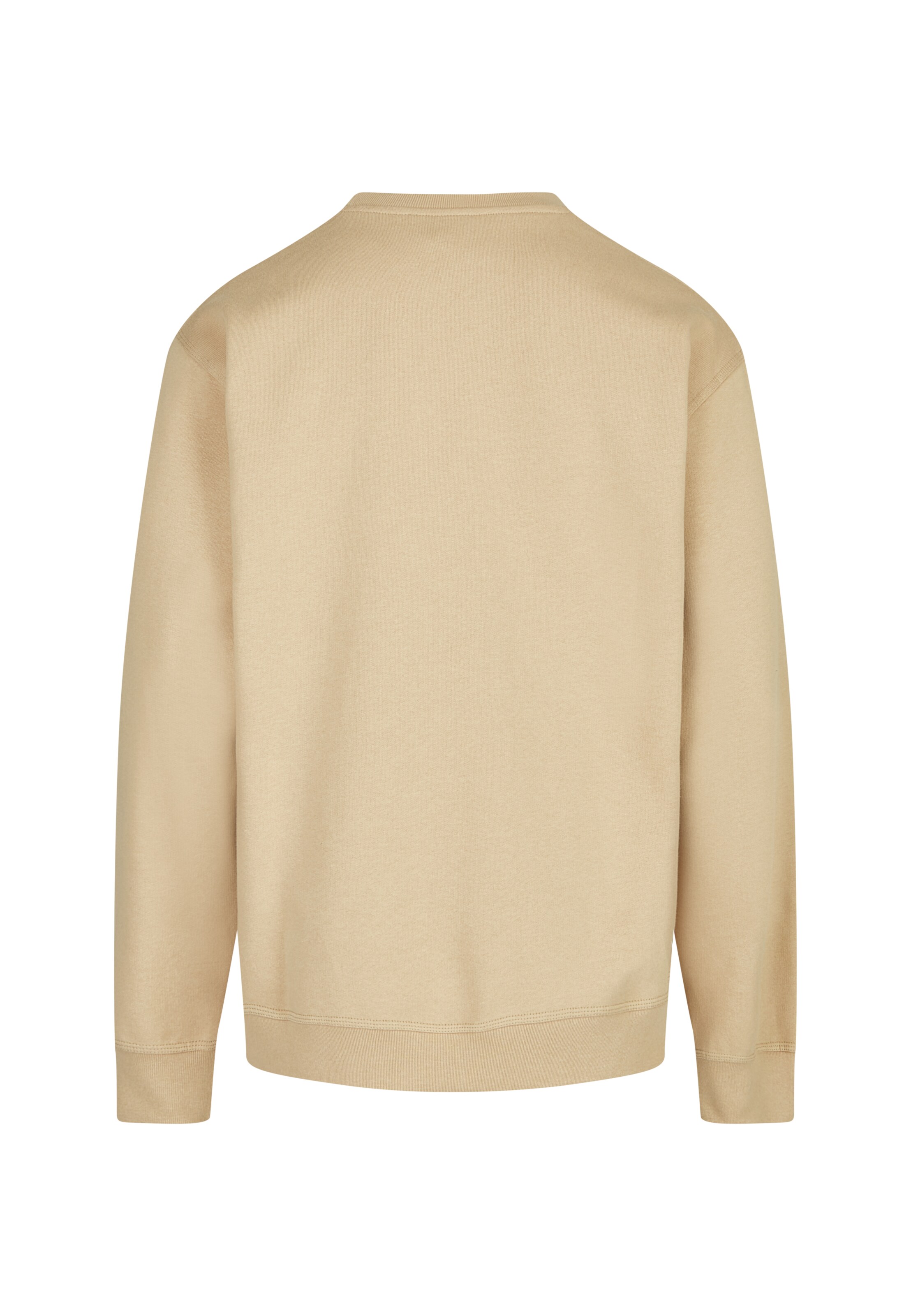 Cleptomanicx Sweatshirt 'Ligull Boxy' in Beige