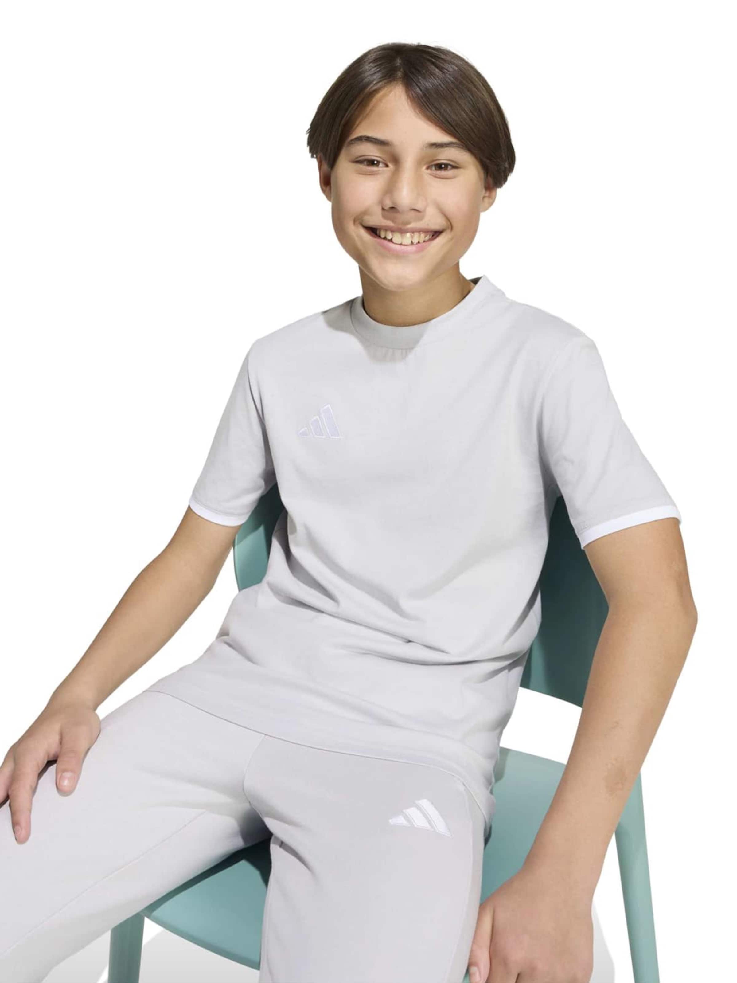 ADIDAS PERFORMANCE - Camiseta funcional 'ENT26' en gris