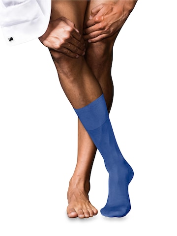 FALKE Socks 'No. 9 Pure Fil d´Écosse' in Blue: front