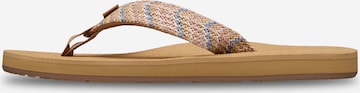 ROXY Zehentrenner 'Porto Raffia' in Braun: Vorderseite