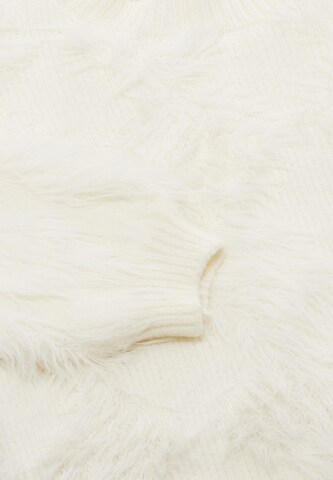 Poomi Pullover in Weiß