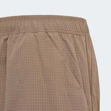 ADIDAS TERREX - Tapered Pantalón de montaña 'Xploric' en marrón