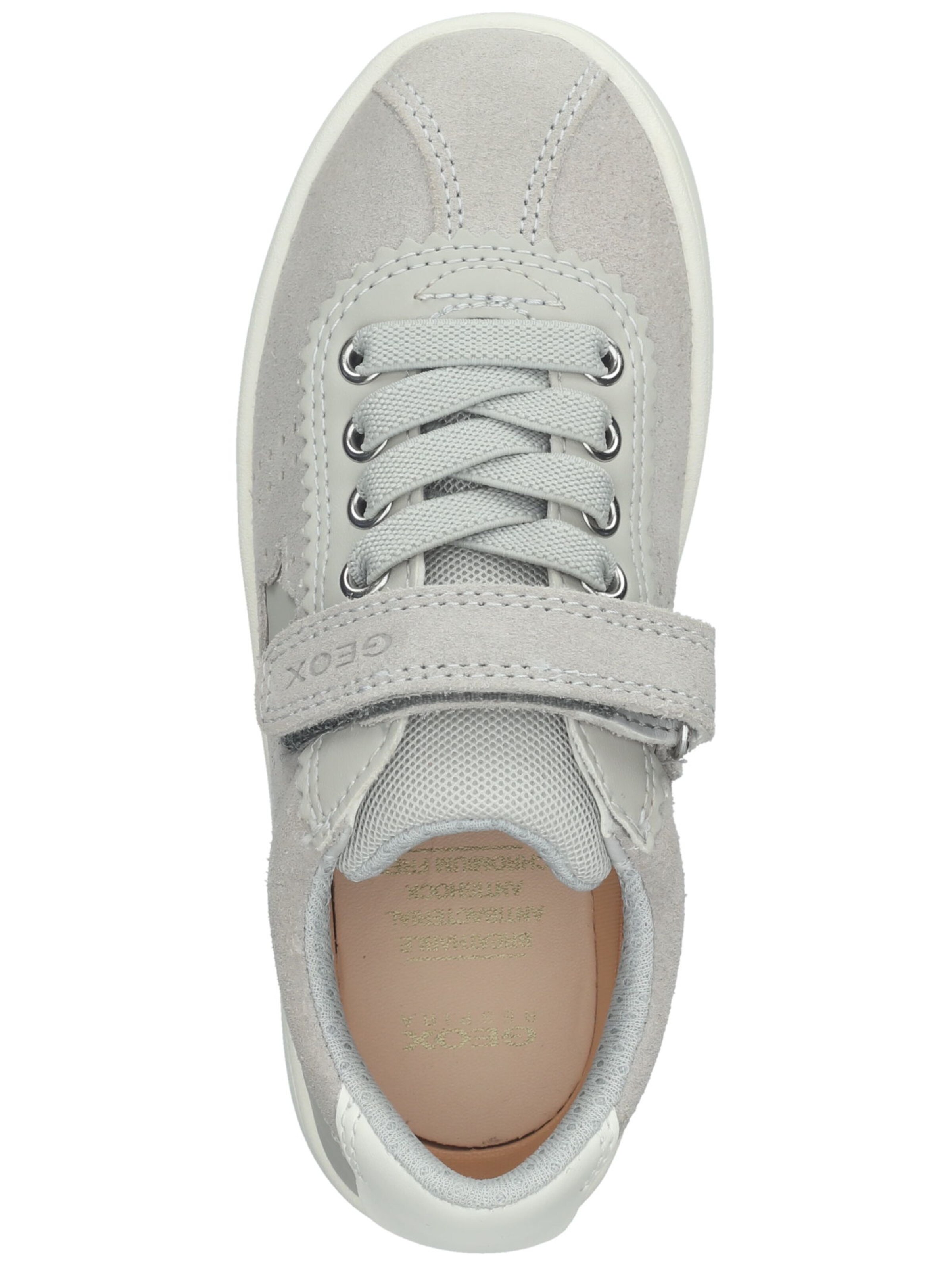 GEOX - Sapatilhas em cinzento