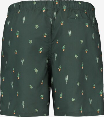 Shorts de bain Shiwi en vert