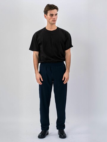 TEESHOPPEN - regular Pantalón ' Track ' en azul: frente