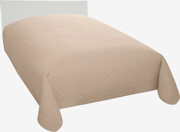 HOME AFFAIRE Blankets in Beige: front