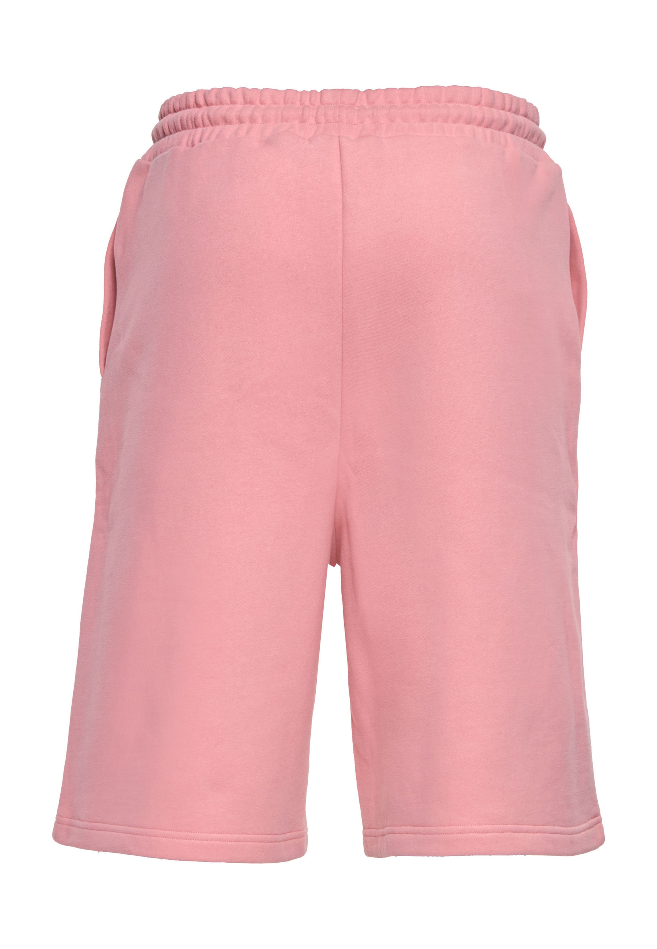 Dropsize Loosefit Shorts in Pink