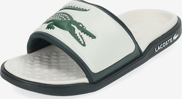 Mule LACOSTE en blanc : devant