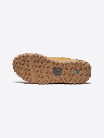 Baskets basses TIMBERLAND en marron