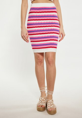 IZIA Skirt in Mixed colors: front