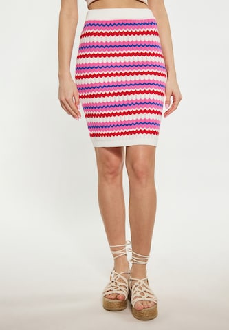 IZIA Skirt in Mixed colors: front