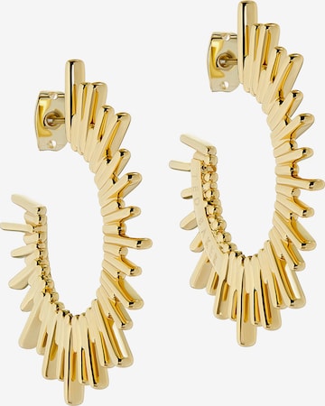 Ted Baker Earrings 'SUNRRIA' in Gold: front