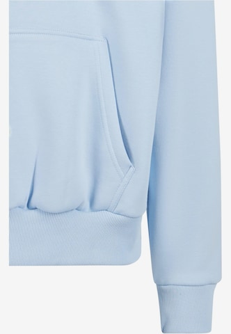 Dropsize Sweatshirt 'Embo' in Blauw