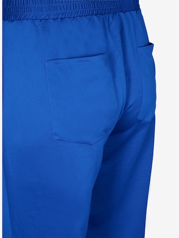 Zizzi Loosefit Hose 'XCLAY' in Blau