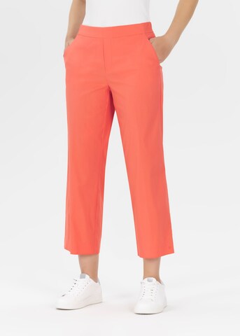 STEHMANN Regular Pants in Orange: front