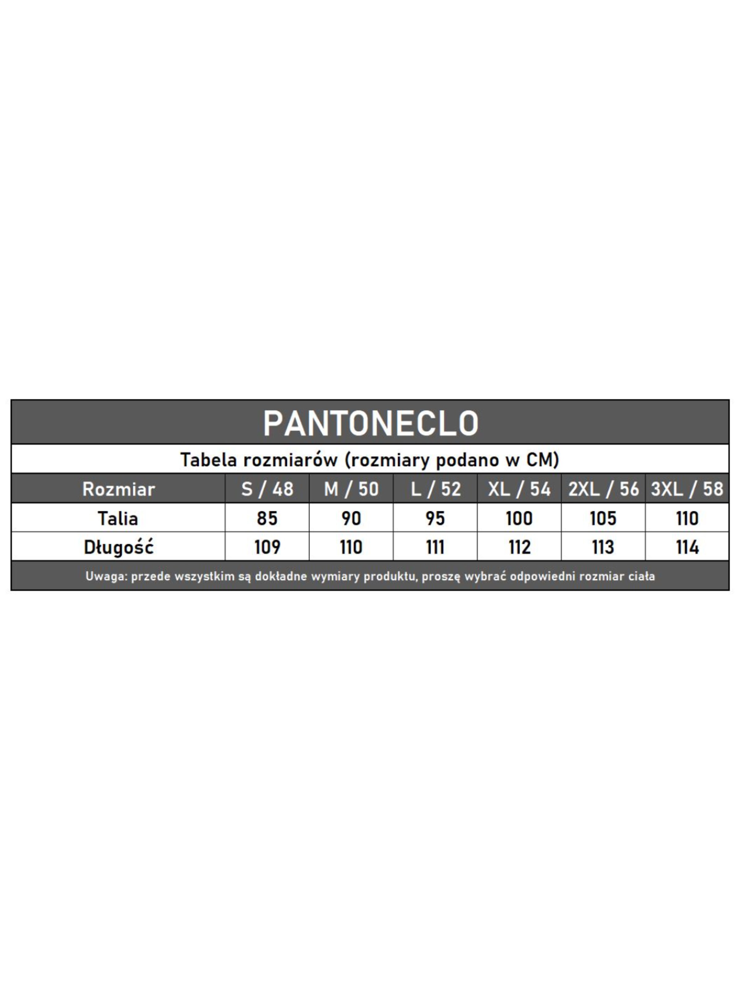 Regular Pantalon cargo 'Pantoneclo Men’s Cargo Pant' PANTONECLO en noir
