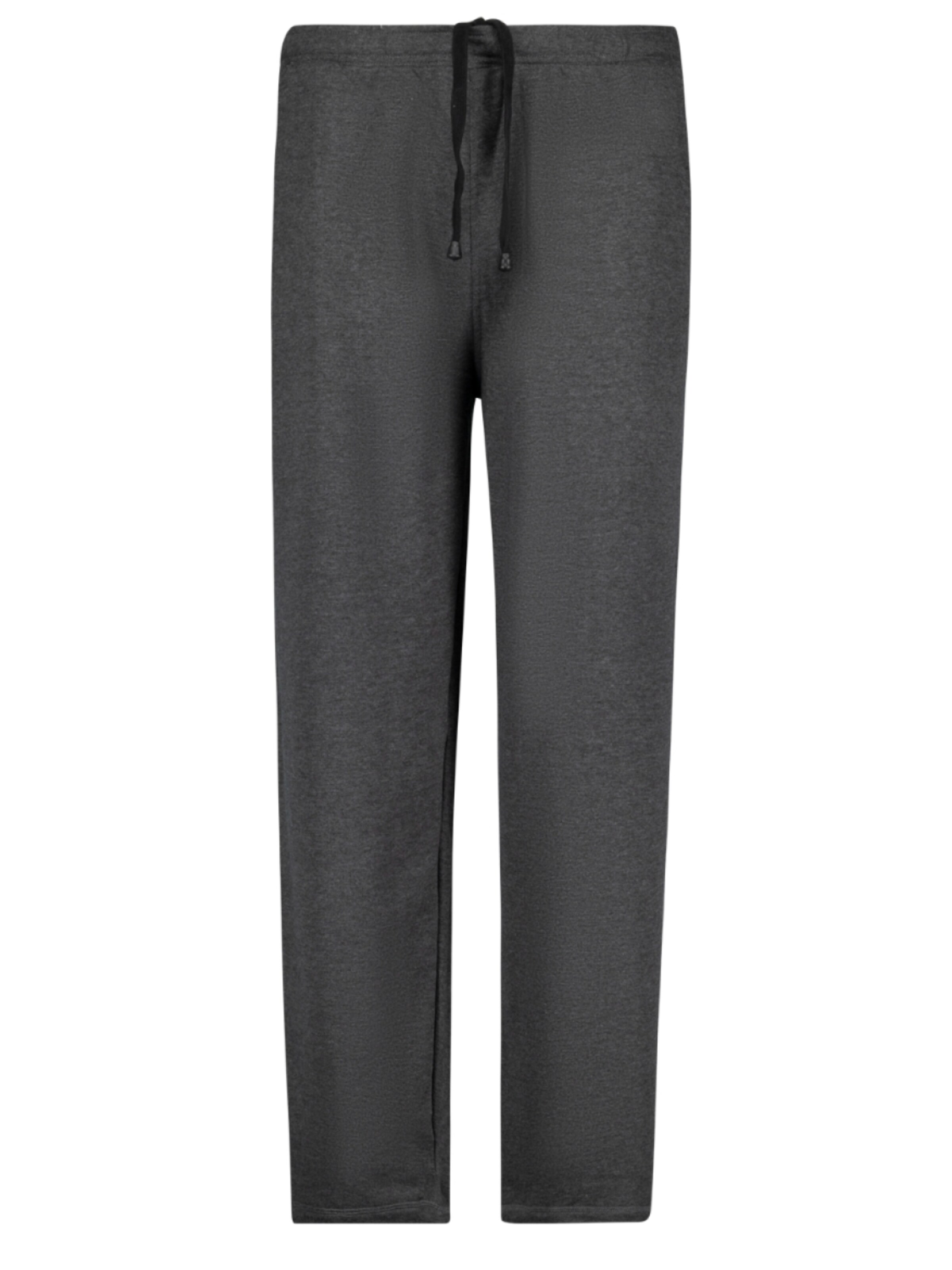 Adamo Regular Pants in Grey: front