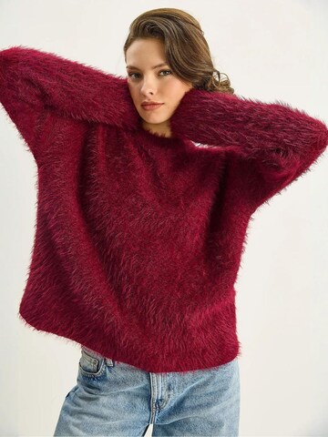Bianco Lucci Pullover in Rot