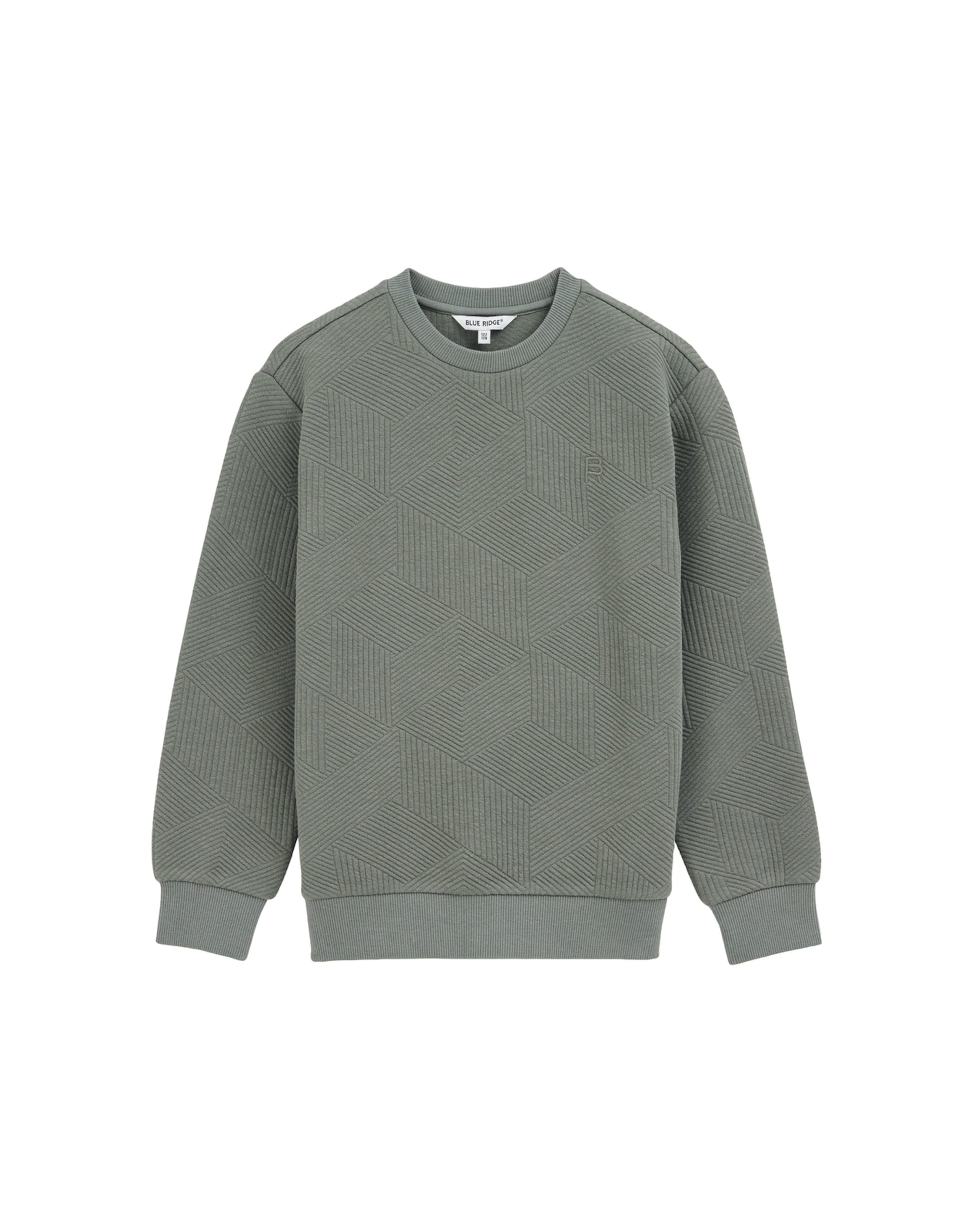 WE Fashion Sweatshirt in Green: front