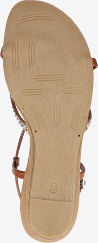 SCAPA T-Bar Sandals in Brown