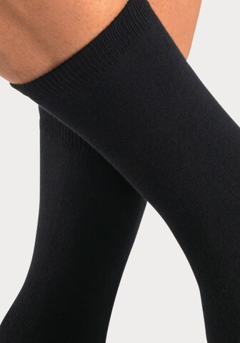 BENCH Socks in Black