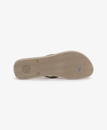 Tongs Superdry en beige