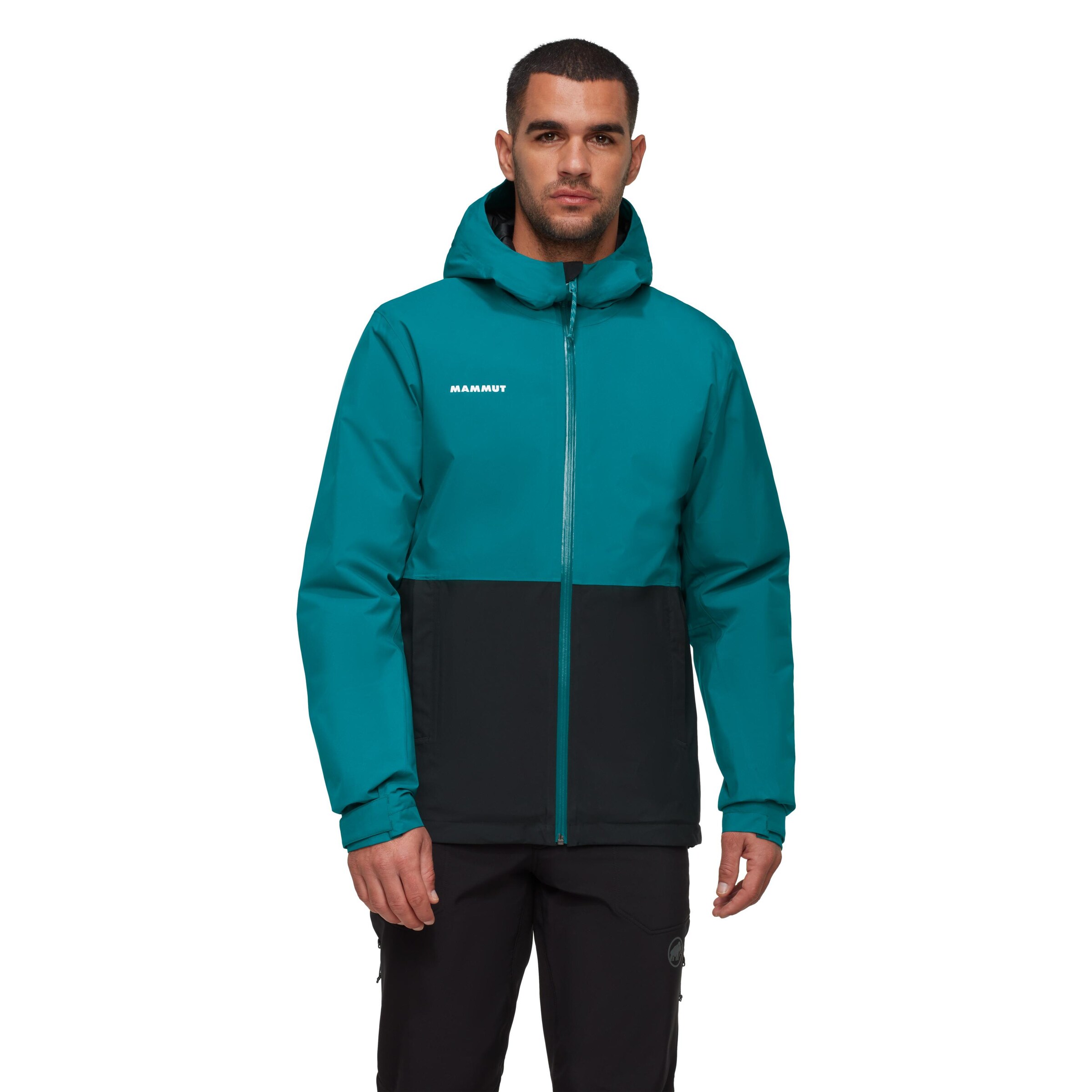MAMMUT Outdoor jacket 'Linard' in Green: front