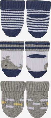 STERNTALER Socks 'Wal' in Blue: front