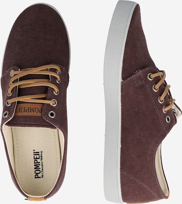 POMPEII - Zapatillas deportivas bajas en marrón